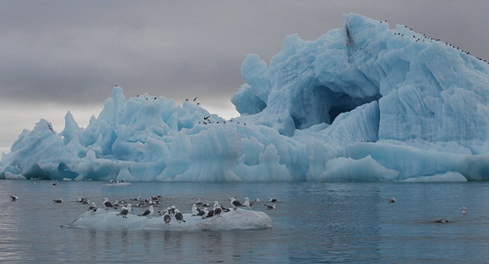 Arctic changed beyond recognition: 95% of Perennial ice since 1984 vanished 